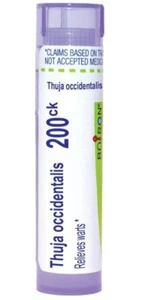 Boiron Thuja Occidentalis 200CK 80 Pellet - Picture 1 of 1
