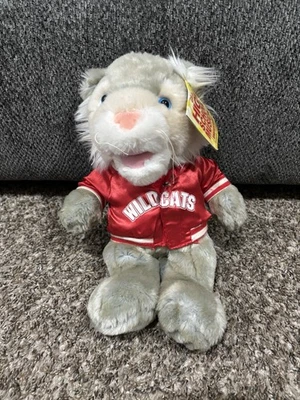 Peluche Disney High School Musical The Ice Tour Wildcat Mascota 12" Foto 1 de 4
