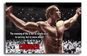 Arnold Schwarzenegger The Meaning of Life 8x12 Zoll Aluminiumschild - Bild 1 von 1