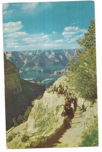 Mules on BRIGHT ANGEL TRAIL Grand Canyon National Park Arizona Postcard AZ 1951 - Picture 1 of 2