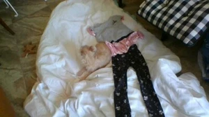 CUTE! Unicorn 2-Piece Outfit Girls Size 6: Short Slv Top w/Matching Pull-On Pant - Picture 1 of 23