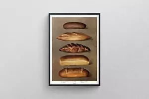 Diverse gebackene Brote Vintage Poster | Kunstdruck Diagramm Tabelle Ausstellungsqualität - Bild 1 von 7