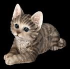 Katzen Figur - Graues Baby liegend - Kätzchen Kater Garten Deko Geschenk