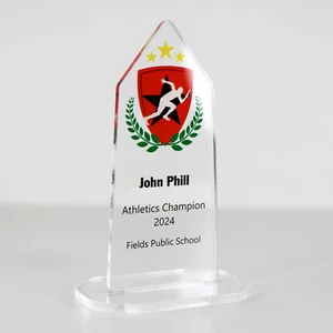ACRYLIC COLOUR TROPHY AWARD CUSTOM DESIGNED FOR BASEBALL WINNER SPORTS - Picture 1 of 4