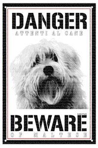MALTESE DOG WATCH SIGN BEWARE OF DANGER METAL - Picture 1 of 1