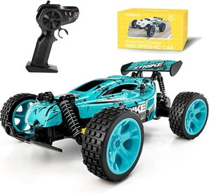 RC Cars Remote Control Car for Kids, 1:18 Scale 20 KM/H 2WD Offroad Buggy, 2.4Gh - Picture 1 of 12