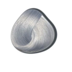 LaRiche Directions Farbcreme silver 89 ml Direktziehende Haartönung