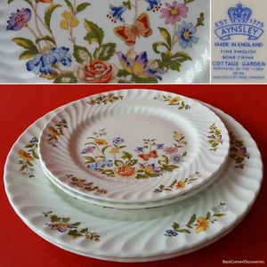 4 Aynsley Made in England COTTAGE GARDEN Plates: Two 8¼" Salad + Two 10½" Dinner - Picture 1 of 13