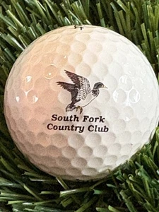 South Fork Country Club Logo Golf Ball- Amaganesett New York NY - Picture 1 of 2