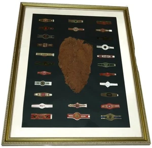 Tobacco Leaf & Cigar Bands Framed Wall Art, 19 5/8" x 25 5/8" - Picture 1 of 6