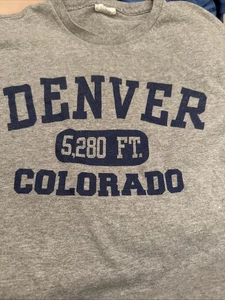 T-shirt Denver Colorado Altitude grigia taglia media maniche corte - Foto 1 di 11