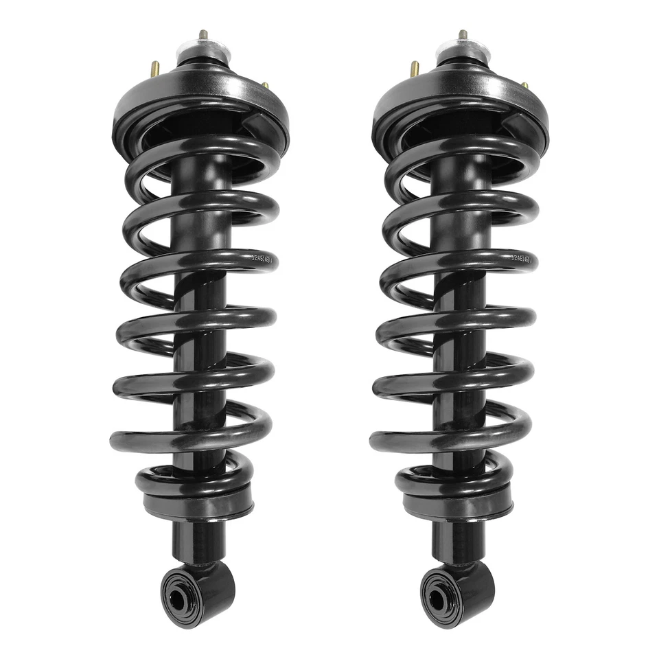 Rear Pair Complete Struts & Coil Springs for Ford Explorer Mercury Mountaineer Foto 1 de 1