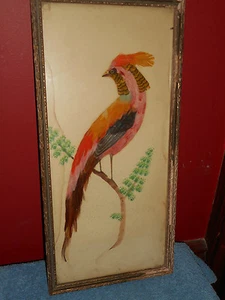 Antikes KOCKSITTICH Vogel Feder Bild Glas gerahmt PROVIDENCE RI ART SHOP um 1920 - Bild 1 von 12