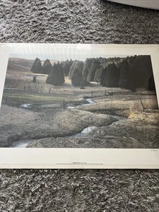 Vintage Brent Towsend Print Cedar Meadow 1990 Limited Signed Rare 218/505 - Picture 1 of 15