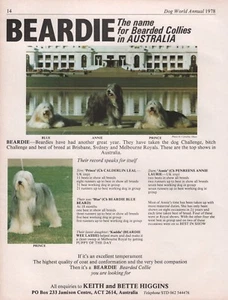 BEARDED COLLIE DOG WORLD 1978 BREED KENNEL ADVERT PRINT PAGE BEARDIE KENNEL - Foto 1 di 1