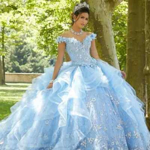 Cinderella Light Blue Quinceanera Dresses Beading lace tulle Ball Gowns 15 16 - Picture 1 of 16