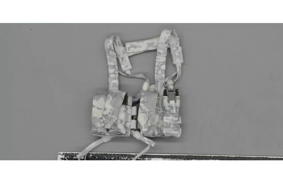 EASY&SIMPLE 06026 1/6 Fuerzas Especiales Campo de Nieve Operación Equipo Conjunto Chaleco Táctico Foto 1 de 1