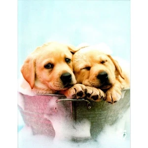 New Leanin' Tree Puppies Greeting Card By Rachael Hale Photography Blank Inside - Picture 1 of 4