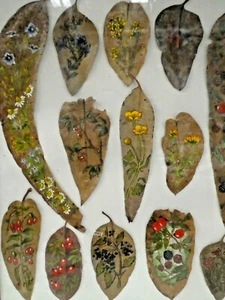 FRAMED COLLECTION OF 13 AUSTRALIAN GUMLEAF PAINTINGS FOLK ART FLORA - Picture 1 of 9