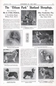 SHETLAND SHEEPDOG SHELTIE OUR DOGS 1930 ELTHAM PARK KENNEL DOG ADVERT PAGE b219 - Picture 1 of 1