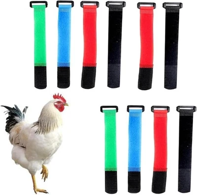 Paquete De 10 Collares Para Gallos Sin Cuervos, Collares Para Pollos Con Anti.. Foto 1 de 4