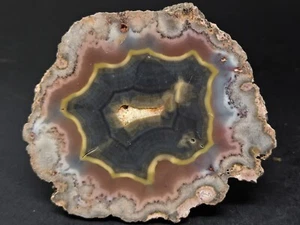 Puma agate collector specimen (Fluorescent)  - Picture 1 of 7