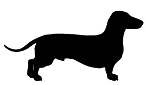 DACHSHUND NEGRO TROQUELADO CALCOMANÍA PEGATINA PERRO AMANTE LA MEJOR CALIDAD - Imagen 1 de 1