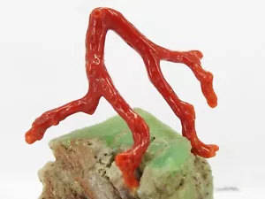 Natural Red Coral Polished Rough Stick For Jewelry Making 35X5MM - Picture 1 of 8