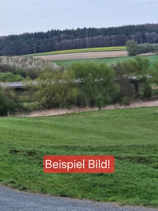 Acker- und Grünland - Bild 1 von 1