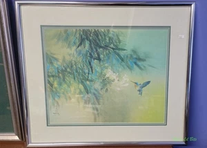 David Lee Colibrì incorniciato 1978 - Foto 1 di 4