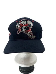 Vintage St. Cloud State Huskies Zephyr Graf-X Mütze 7 3/8 Made in Korea  - Bild 1 von 7