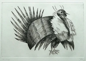 Hermann  POLZ " Der Vogel " , Radierung auf Bütten, handsigniert u. numm. 14/20 - Bild 1 von 4