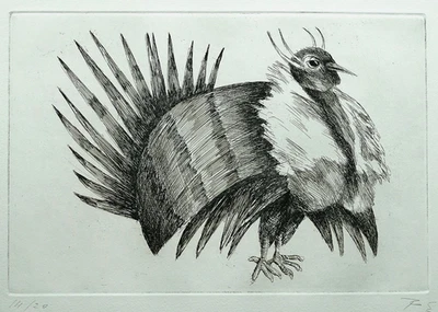 Hermann  POLZ " Der Vogel " , Radierung auf Bütten, handsigniert u. numm. 14/20 - Bild 1 von 4