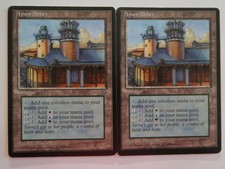 MTG 2x Aysen Abbey Homelands NM
