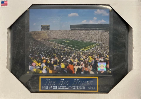THE BIG HOUSE MICHIGAN WOLVERINES FRAMED 8X10 PHOTO-MAN CAVE ART-12X15 PLAQUE Cover