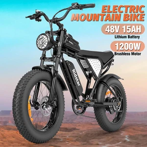 20'' Fat Tire Electric Bike 48V 15Ah 1200W Motor 7-Speed Ebike for Adult - Picture 1 of 10