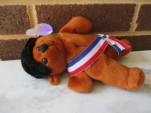 Planet Plush "George" Presidential Bear 8" Sally Winey 1999 Brown Beanie #34528 - Picture 1 of 5
