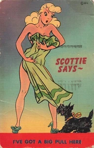 Scottie Dog Pulling Towel, Risque Pin Up Girl Sexy Woman, Vintage Postcard - Bild 1 von 2