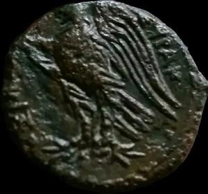 Sicily Syracuse- Hiketas II  287-278 BC, Eagle on Thunderbolt .20mm/7.67 grams - Picture 1 of 2