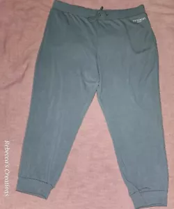 Victoria’s Secret Soft Sage Green High Rise Terry Lined Jogger Sweatpant XXL NEU - Bild 1 von 9