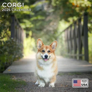 Corgi Calendar 2026 - Dog Breed Wall Calendar - Made in the USA! - Picture 1 of 8