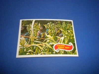 PLANET OF THE APES card #9 Charlton Heston Topps 1967 USA STALKING HUMAN PREY! - Image 1 of 4