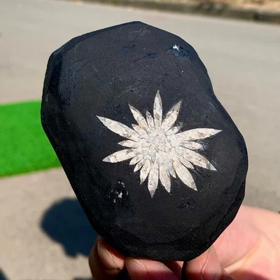 299G Natural Chrysanthemum Stone Quartz Carving Halo Treatment Gift - Image 1 of 4