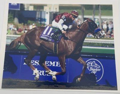 2008 Breeders Cup Grade 1 Juvenile Midshipman & Garrett Gomez 8x10 Photo - Image 1 of 3