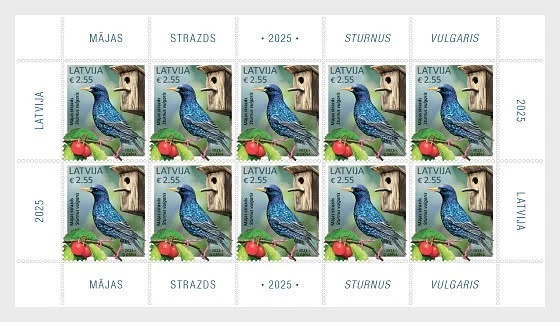 latvia 2025 Birds Common STARLING Sturnus vulgaris nature 10v mnh FULL SHEET - Image 1 of 1