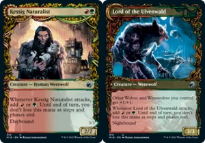[4x] Kessig Naturalist // Lord of the Ulvenwald - Foil - Showcase Near Mint, Eng - Picture 1 of 1