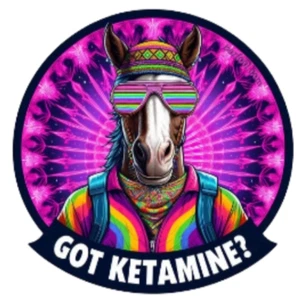 Lost Lands 2024 Got Ketamine Bojack Sticker ~ Barfool ~ Phone Laptop iPad Car - Picture 1 of 1