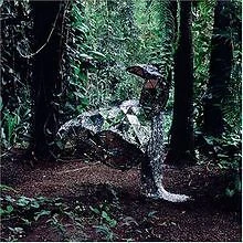 Donkey von Css | CD | Zustand sehr gut - Bild 1 von 2