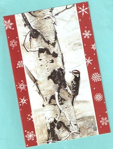 Downy Woodpecker Birch Tree Embossed Christmas Cards Box of 16^ - Picture 1 of 2