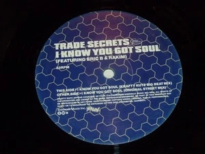 TRADE SECRETS - I Know you got Soul - 1998 UK 2-track 12" Vinyl Single - Picture 1 of 3